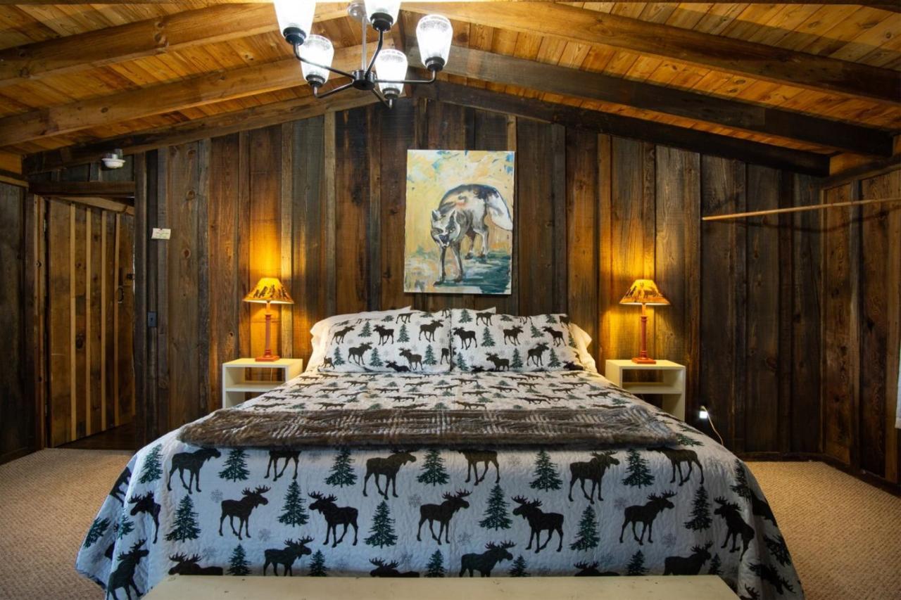 Coyote Lodge At Deerwoode Reserve Brevard Kültér fotó